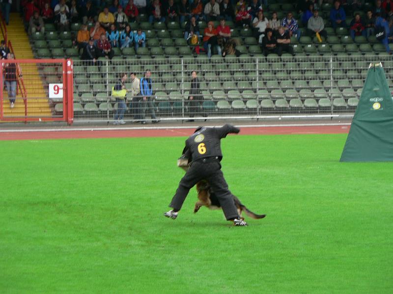 24.jpg