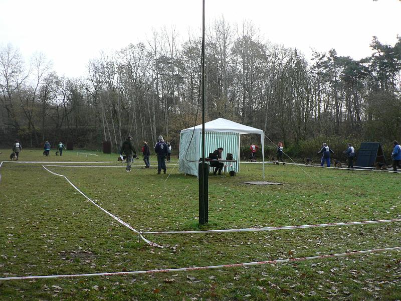 P1050526.JPG