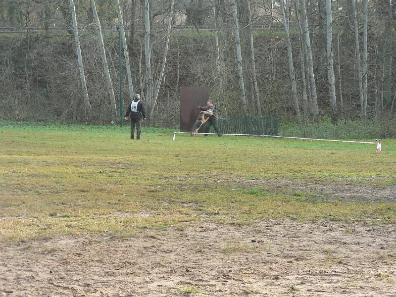 P1050528.JPG