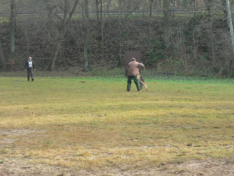 P1050533.JPG