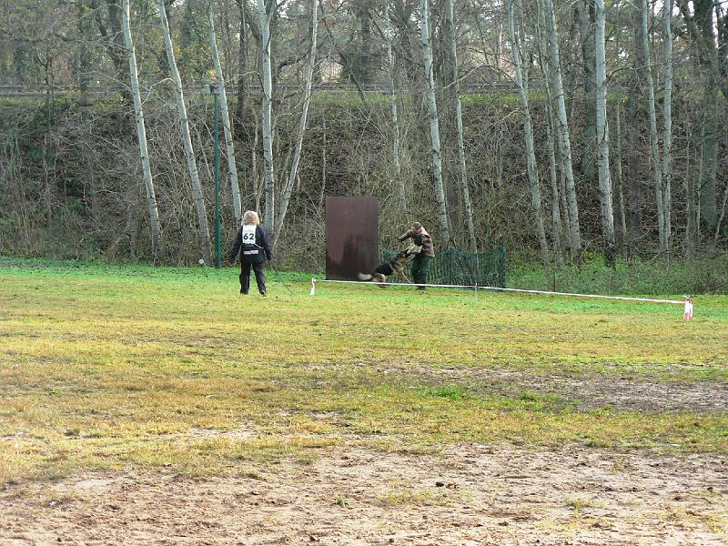 P1050544.JPG