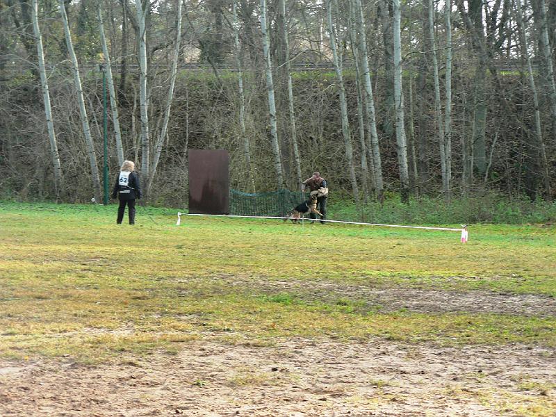 P1050546.JPG