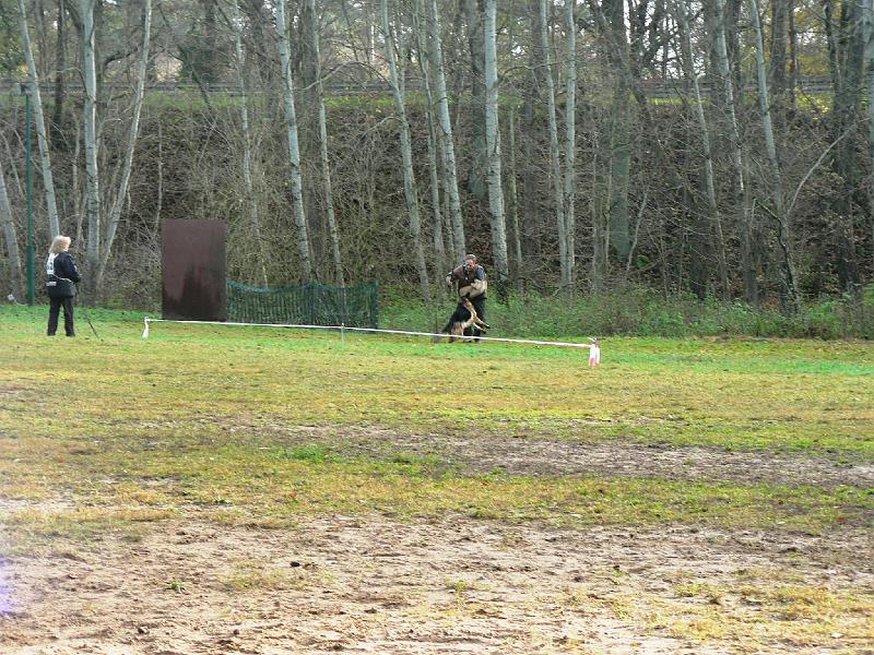 P1050548.JPG