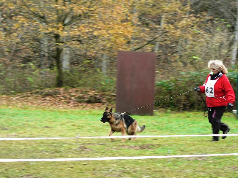 P1050578.JPG