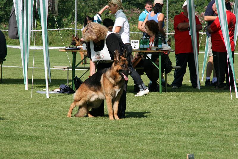 IMG_4613.JPG