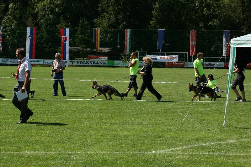 IMG_4653.JPG