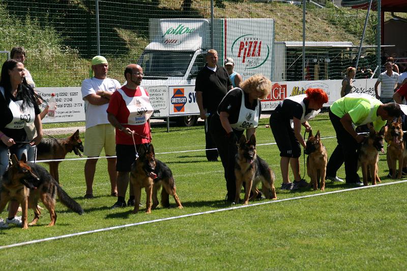 IMG_4667.JPG