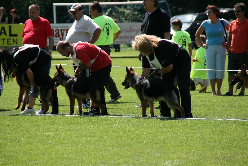 IMG_4672.JPG
