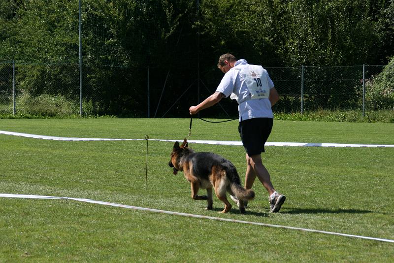 IMG_4725.JPG