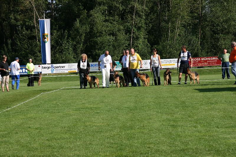 IMG_4778.JPG