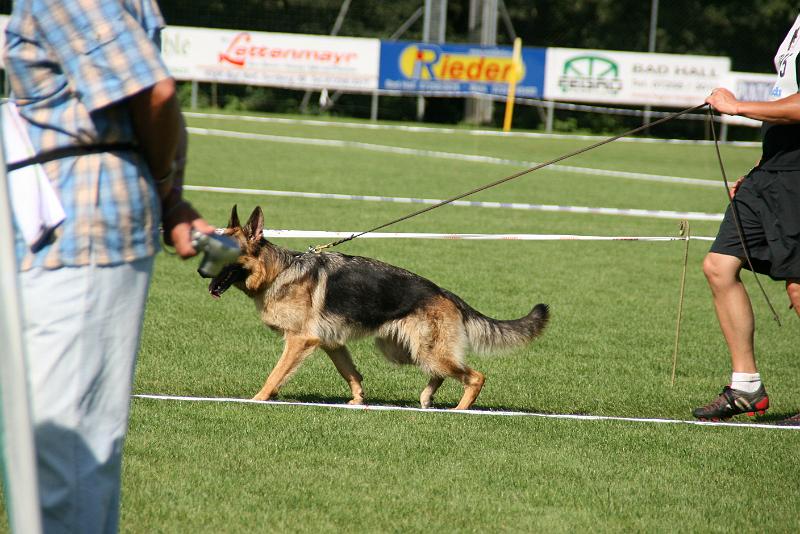 IMG_4871.JPG
