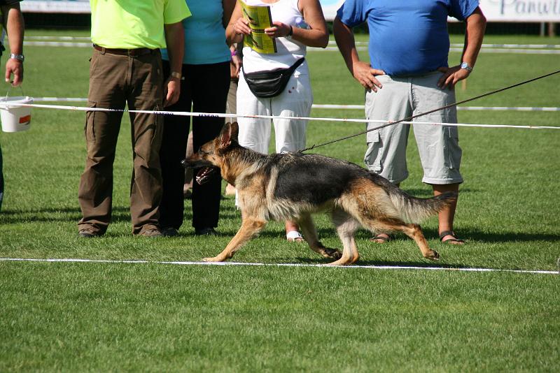 IMG_4873.JPG