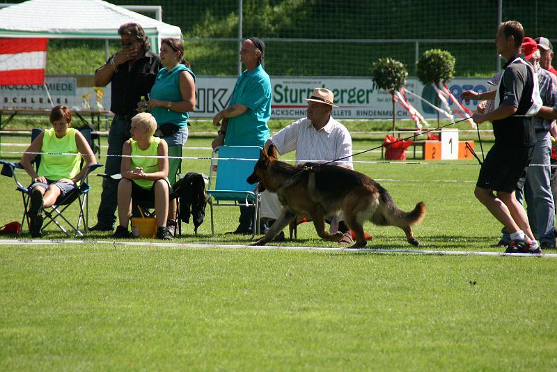 IMG_4909.JPG