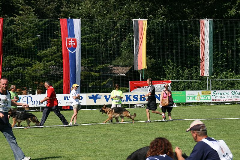 IMG_4917.JPG