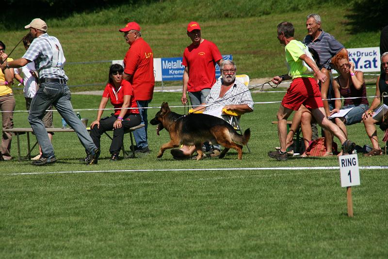 IMG_4937.JPG