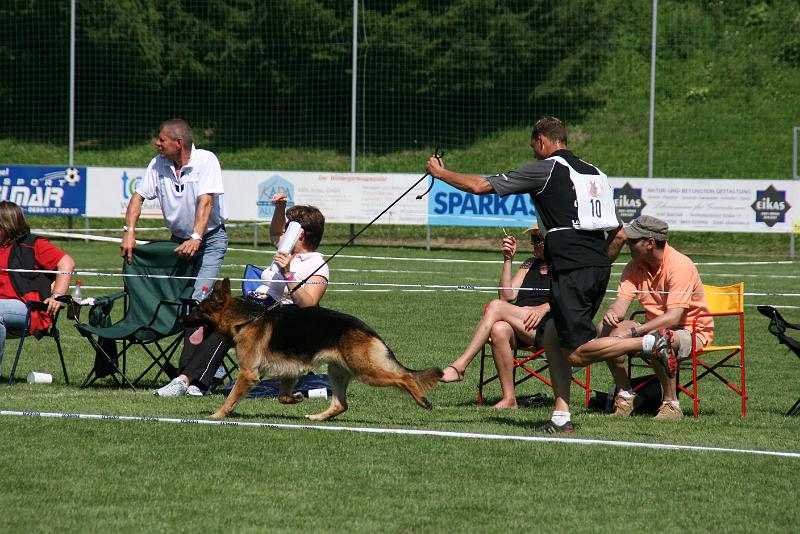 IMG_4965.JPG