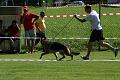 IMG_4705