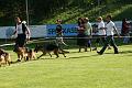 IMG_4785