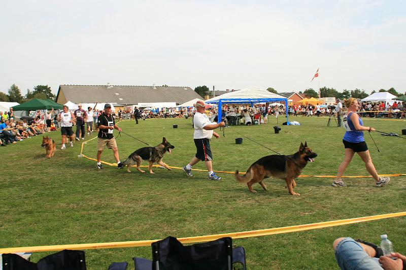 IMG_4264.JPG