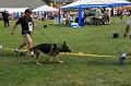 IMG_4246