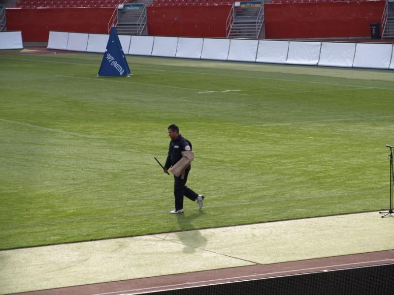 _9039241.jpg