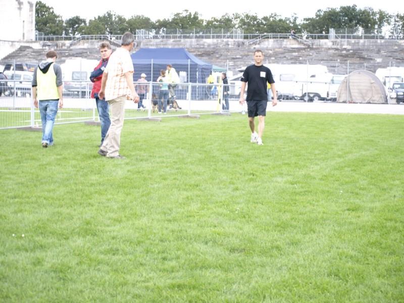 _9039281.jpg
