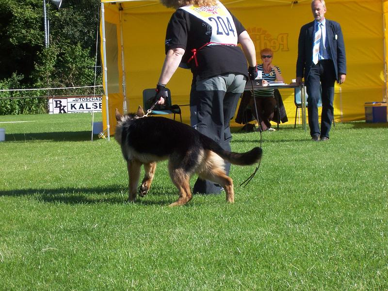 100_0290.jpg