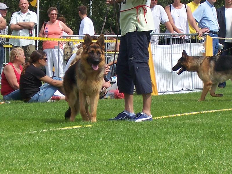 100_0304.jpg