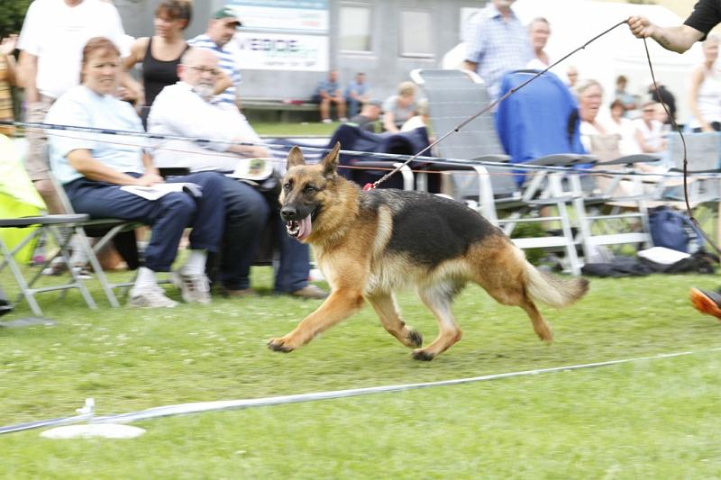 _MG_8989.jpg