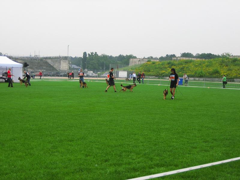 IMG_2230.JPG