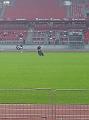 20140905_160648