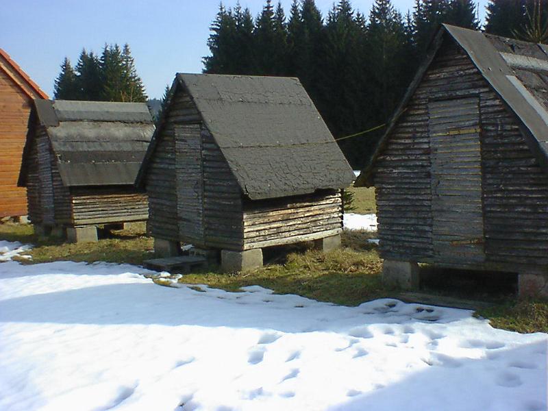 DSC00942.jpg
