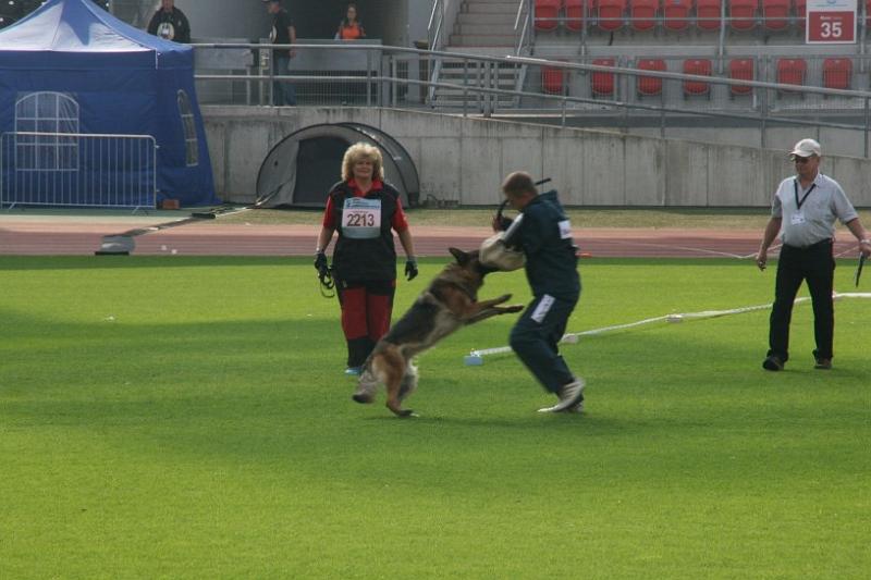IMG_0327.jpg