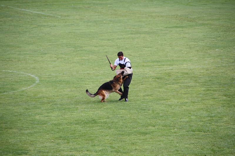 2008_08_09_0234.JPG