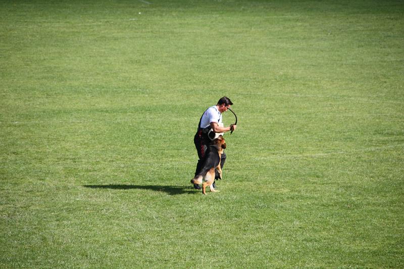 2008_08_09_0264.JPG