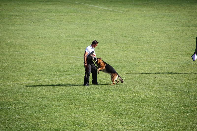 2008_08_09_0265.JPG
