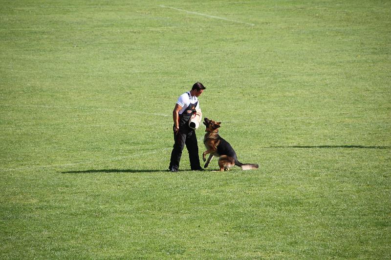 2008_08_09_0267.JPG