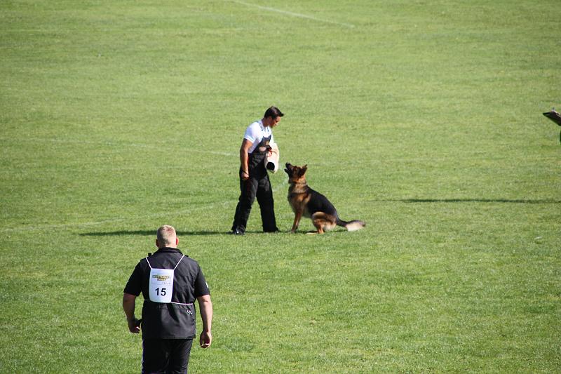 2008_08_09_0269.JPG