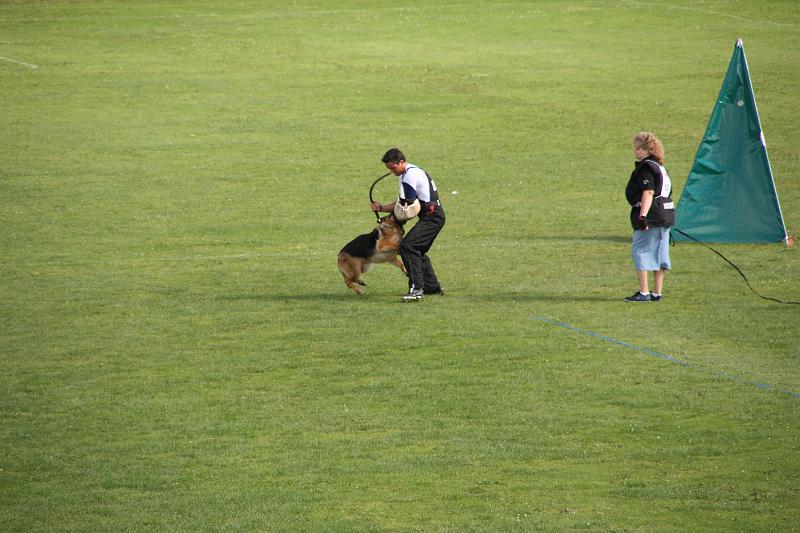 2008_08_09_0293.JPG