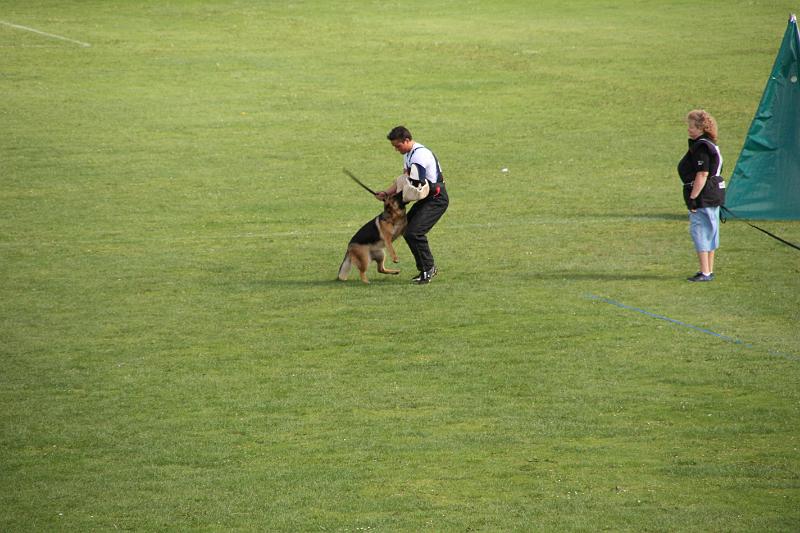 2008_08_09_0294.JPG
