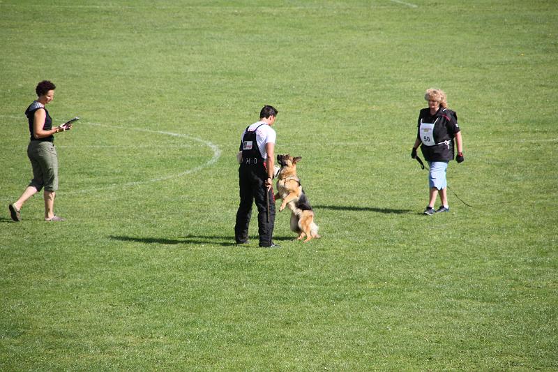 2008_08_09_0300.JPG