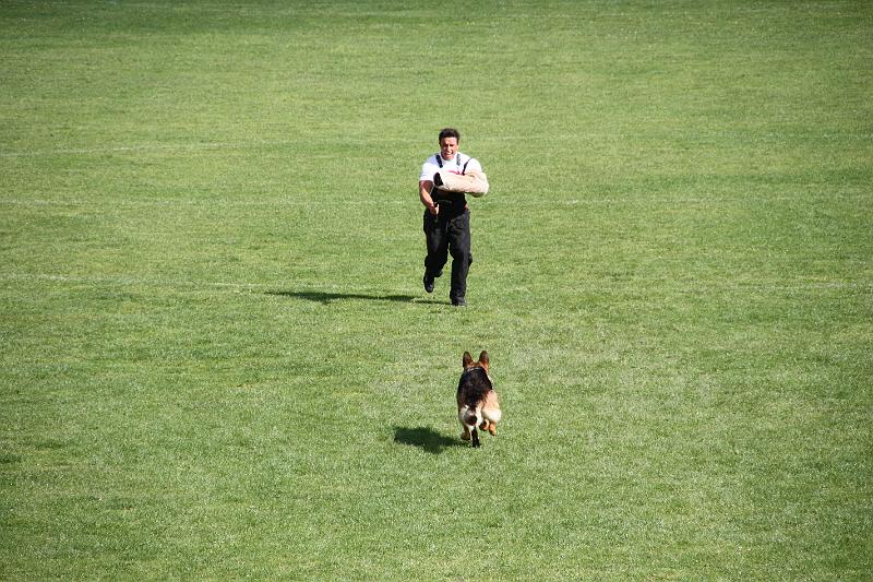 2008_08_09_0307.JPG