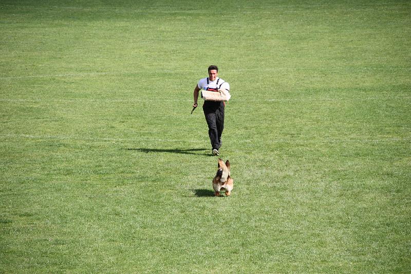 2008_08_09_0308.JPG