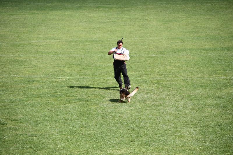 2008_08_09_0309.JPG