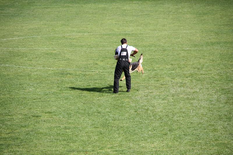 2008_08_09_0312.JPG