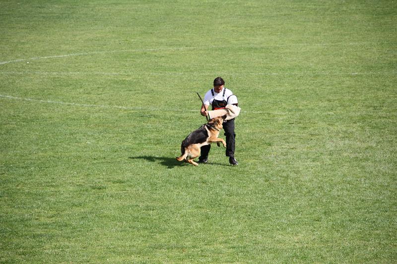 2008_08_09_0316.JPG