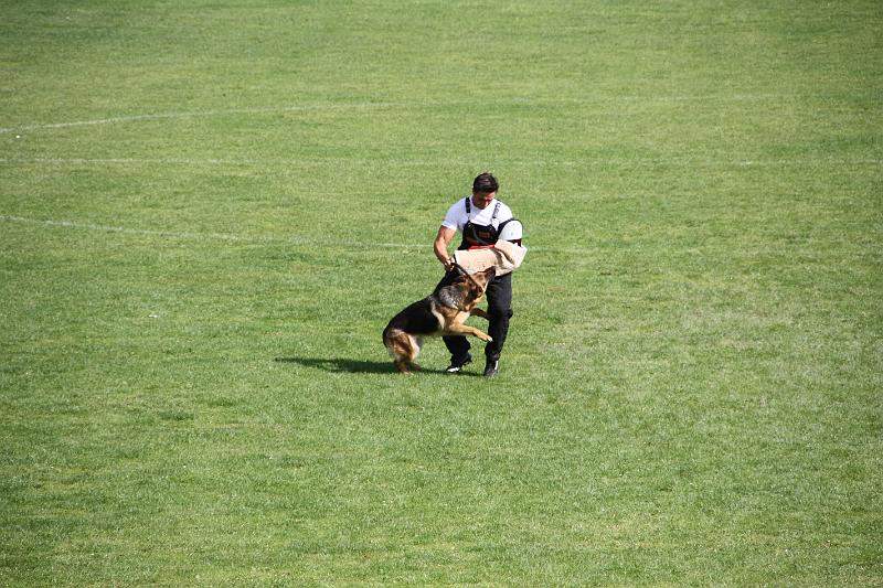 2008_08_09_0317.JPG