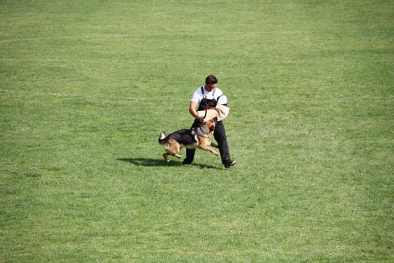 2008_08_09_0319.JPG