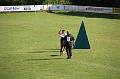 2008_08_09_0244
