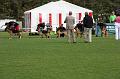 2008_08_09_0337